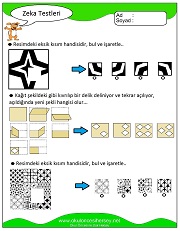 Zeka Gelişim Testleri